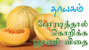 thayagam featured-melon