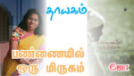 பண்ணையில் ஒரு மிருகம்